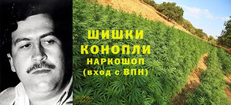 omg как зайти  Ядрин  Бошки Шишки OG Kush  хочу  